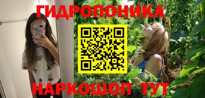 крисы Нарткала