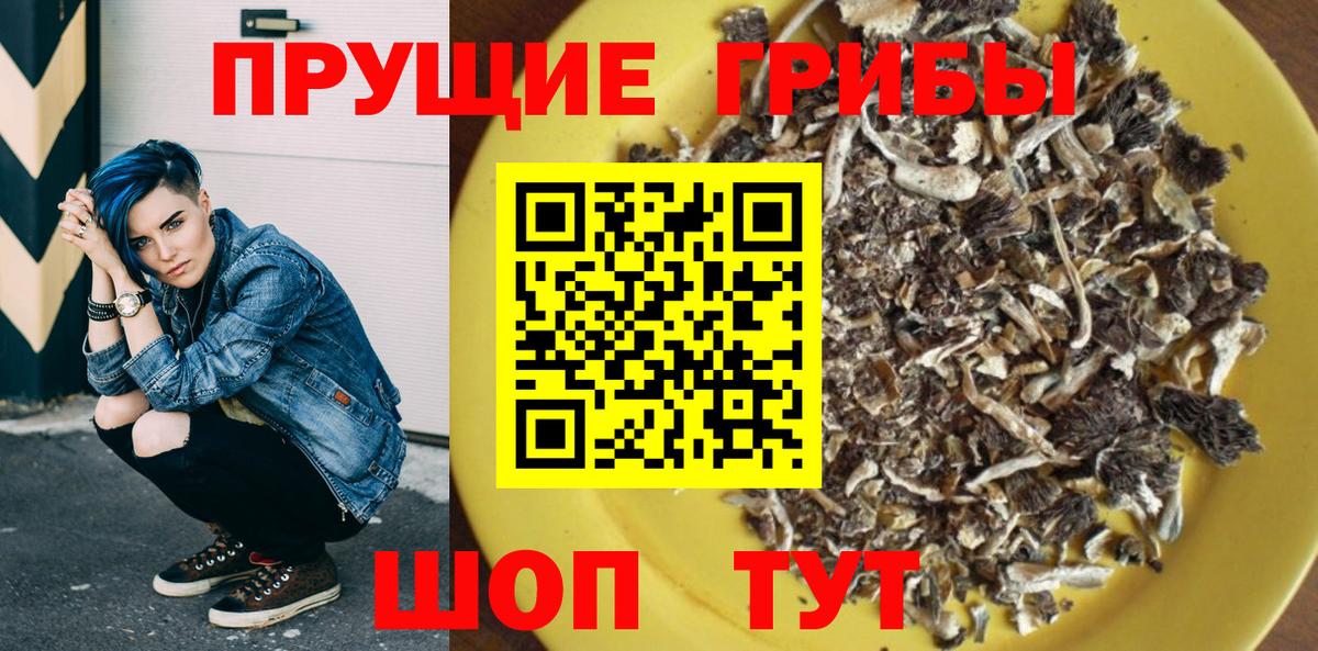 Сызрань  Псилоцибиновые грибы Psilocybe  Вход с VPN 