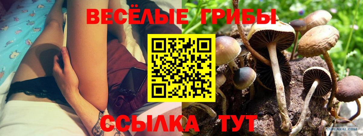 Галлюциногенные грибы ЛСД Сызрань